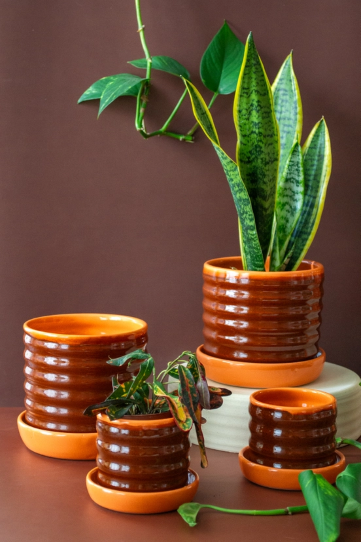 Castoe Pots Ceramic Ripple Planter With Drip Plate