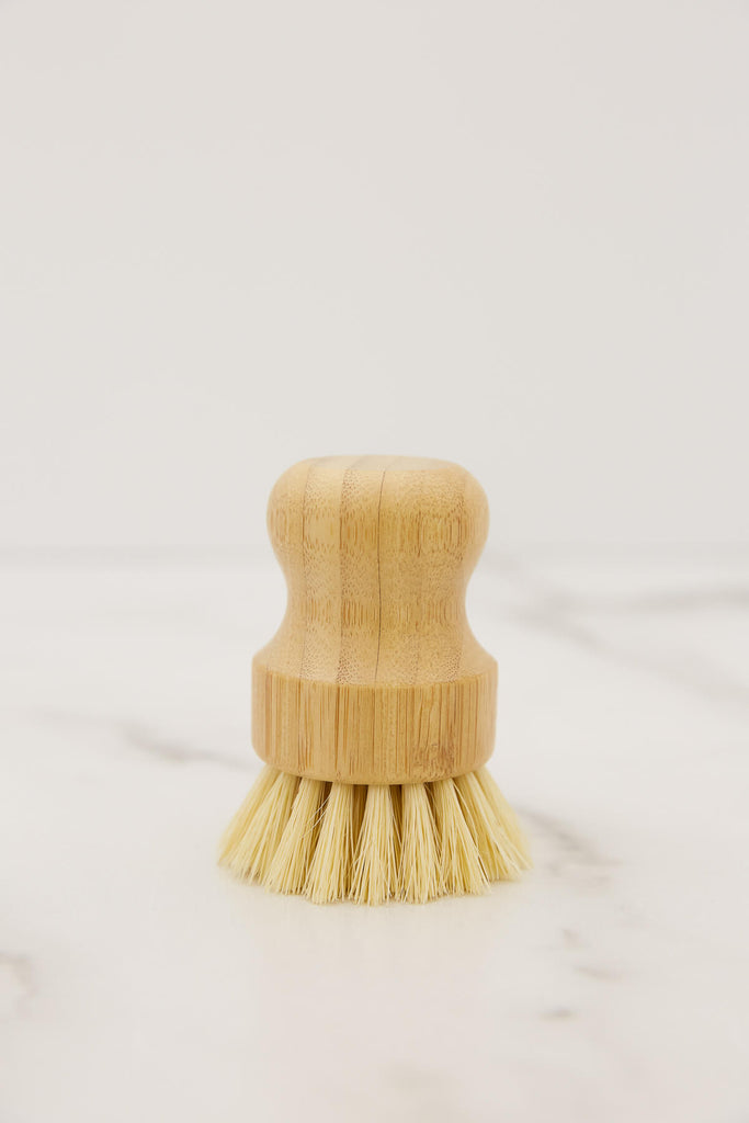 No Tox Life Casa Agave™ Dishwashing & Vegetable Hand Brush - Olive